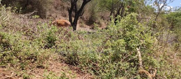 Embu,Mbeere 17 Acres Agricultural Farmland