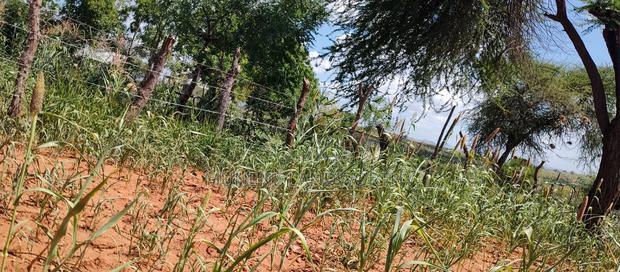 Embu County, Kiambere 10 Agricultural Farmland.