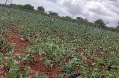 Embu County,Riachina Mbeere 2 Acres Agricultural Farm.