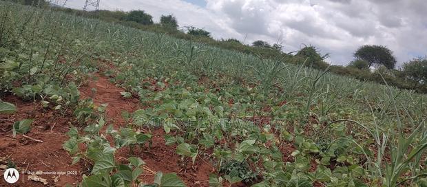 Embu County,Riachina Mbeere 2 Acres Agricultural Farm.