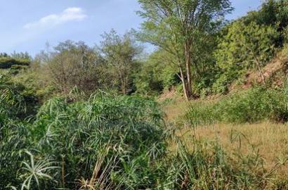 Embu , Mariari 5.8 Acres Agricultural Farmland With River