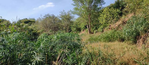 Embu , Mariari 5.8 Acres Agricultural Farmland With River