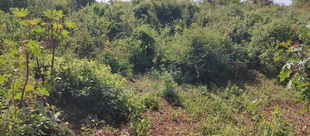 Embu ,Kiambere 13.5 Acres Agricultural Farmland.