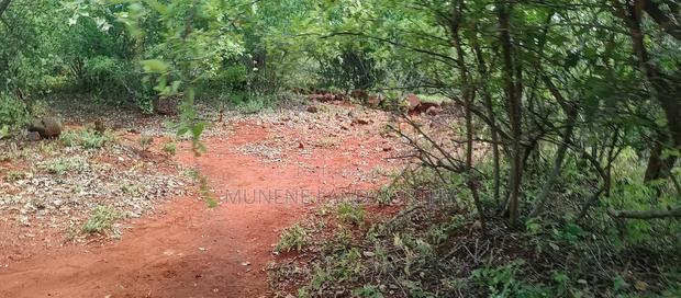 Embu County, Mariari 4.2 Acres Agricultural Farmland