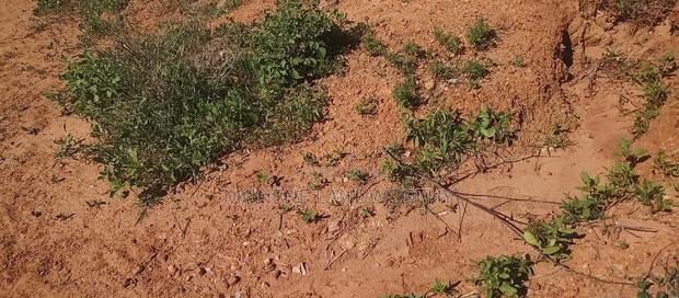 Embu, Mutuobare,1 Acre on Sale Near Tarmac Road Center.
