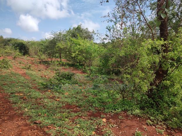 Embu,Mariari Agricultural Land Near the Road