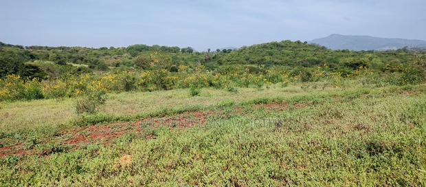 Embu , Mariari 5.8 Acres Agricultural Farmland With River
