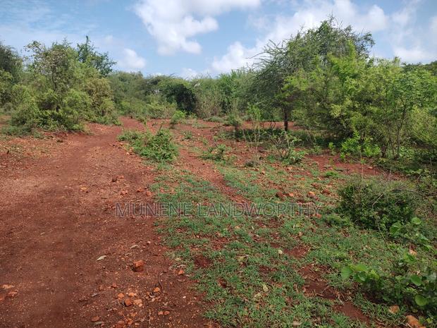 Embu,Mariari Agricultural Land Near the Road