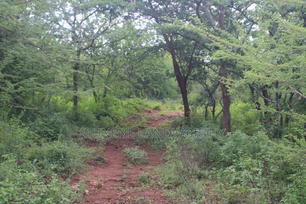 Embu , Mariari Kiambere 20 Agricultural Farmland