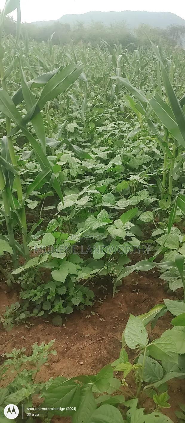 Embu County, Kiambere 6 Acres Agricultural Farmland