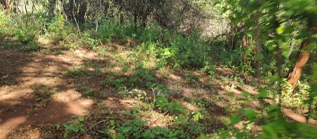 Embu County, Kiambere Agricultural 4acres Land