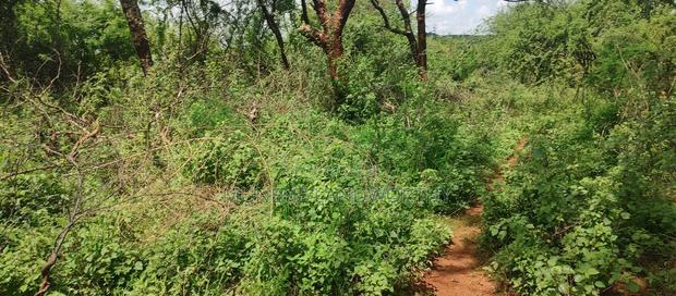 Embu County,Gitaru 10 Acres Agricultural Farmland