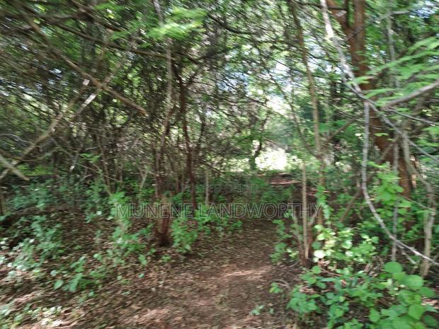 Embu, Kiambere Grazing Agricultural Land Next to the River