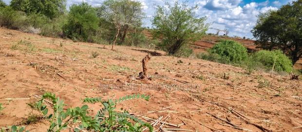 Embu County,Karura Mbeere South 18 Acres Farmland
