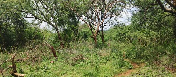 Embu County,Gitaru 10 Acres Agricultural Farmland
