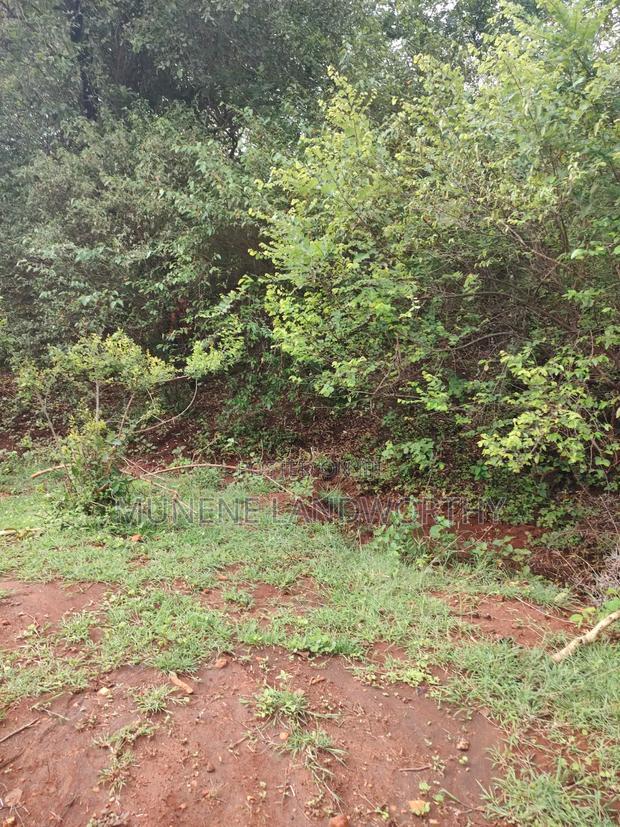 Embu,Mariari Agricultural Land Near the Road