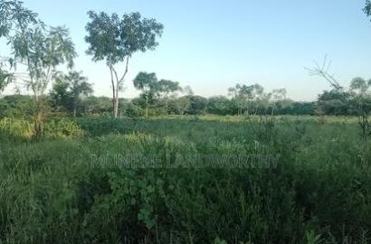 Embu County, Kiambere 5 Acres Agricultural Farmland