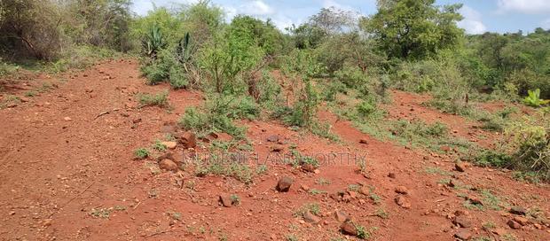 Embu,Mariari Agricultural Land Near the Road