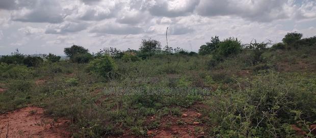 Embu , Mariari Kiambere 20 Agricultural Farmland