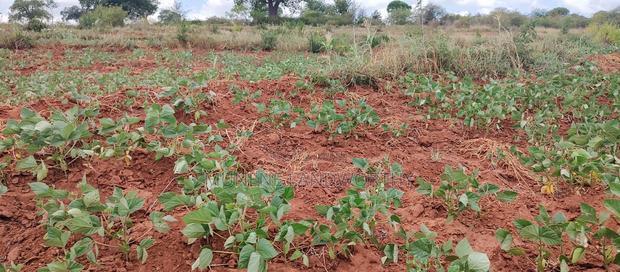 Embu County,Gatete 11 Acres Agricultural Farmland