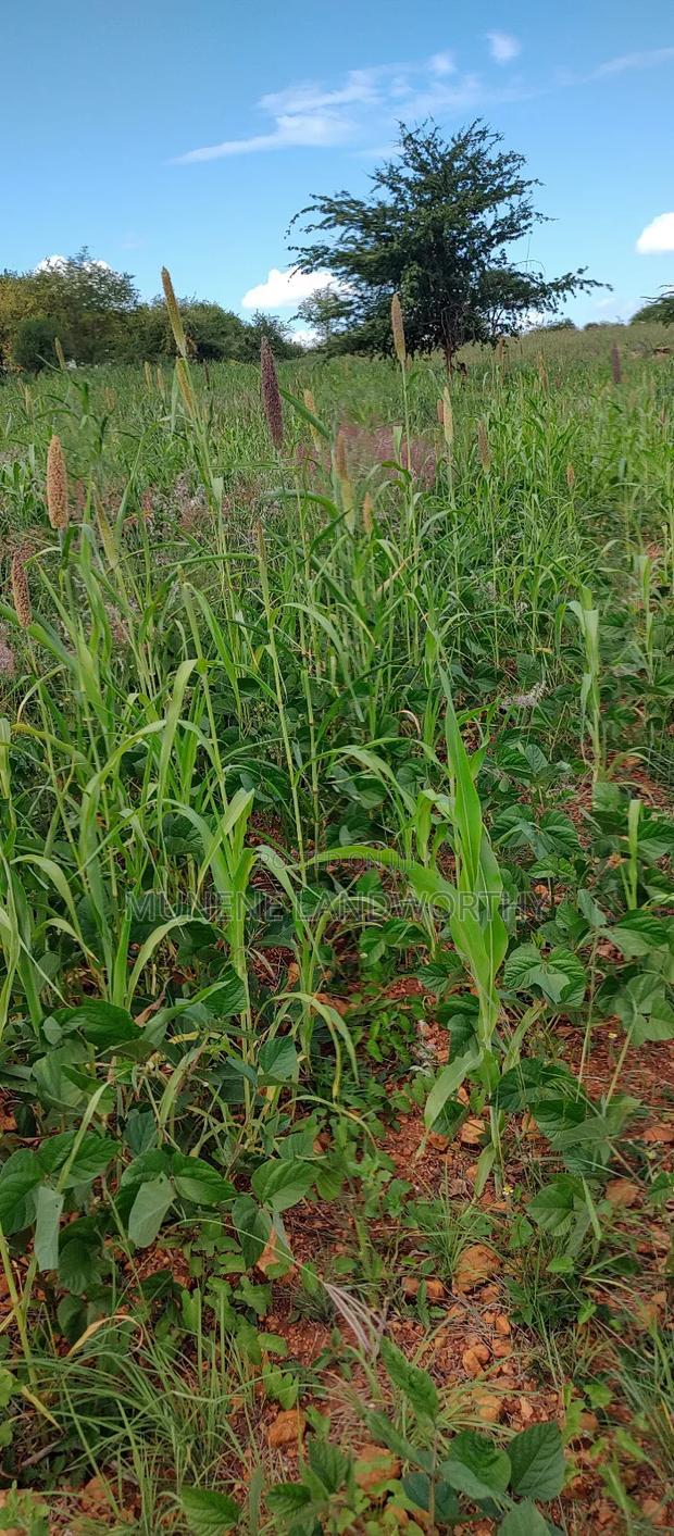 Embu County, Kiambere 10 Agricultural Farmland.