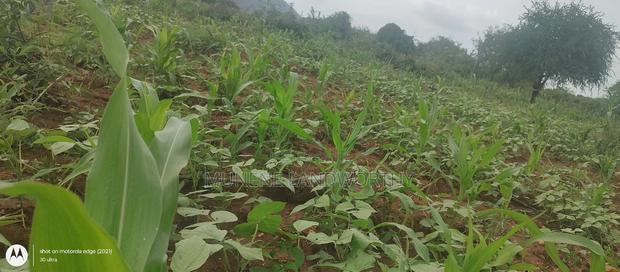 Embu County, Kiambere 6 Acres Agricultural Farmland