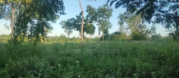 Embu County, Kiambere 5 Acres Agricultural Farmland
