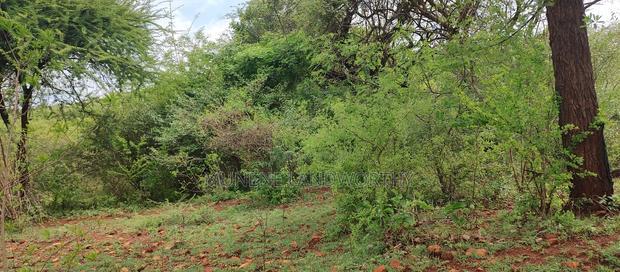 Embu,Mariari Agricultural Land Near the Road