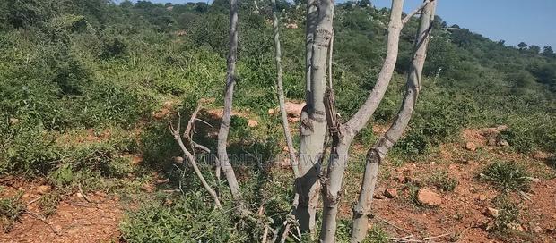 Embu County, Mutuobare 1.5 Acres Near Tarmac at Kes