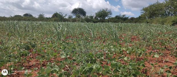 Embu County,Riachina Mbeere 2 Acres Agricultural Farm.