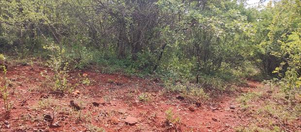 Embu County, Mariari 4.2 Acres Agricultural Farmland