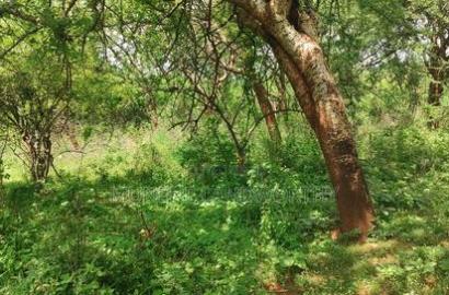 Embu County,Gitaru 10 Acres Agricultural Farmland