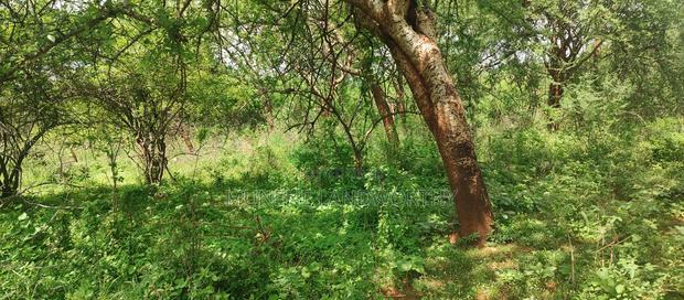 Embu County,Gitaru 10 Acres Agricultural Farmland
