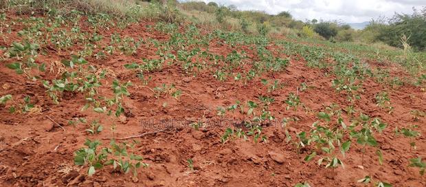 Embu County,Gatete 11 Acres Agricultural Farmland