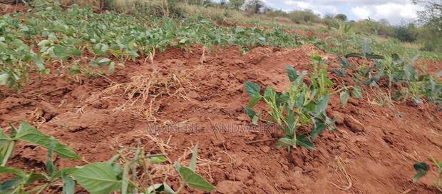 Embu County,Gatete 11 Acres Agricultural Farmland