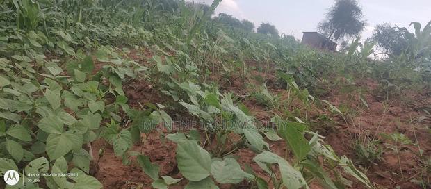 Embu County, Kiambere 6 Acres Agricultural Farmland
