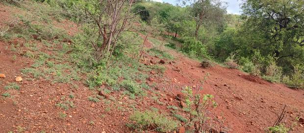 Embu,Mariari Agricultural Land Near the Road