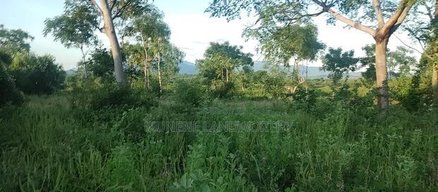 Embu County, Kiambere 5 Acres Agricultural Farmland