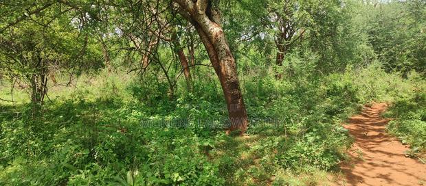 Embu County,Gitaru 10 Acres Agricultural Farmland