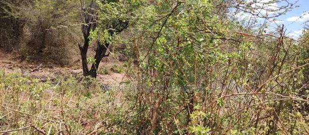 Embu,Mbeere 17 Acres Agricultural Farmland