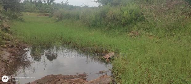 Embu County, Kiambere 6 Acres Agricultural Farmland