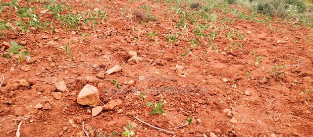 Embu County,Gatete 11 Acres Agricultural Farmland