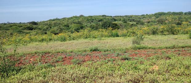 Embu , Mariari 5.8 Acres Agricultural Farmland With River