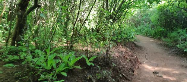 Embu, Kiambere Grazing Agricultural Land Next to the River