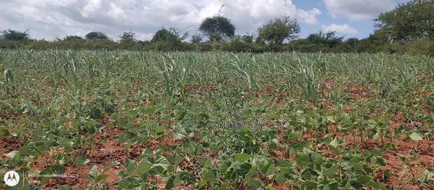 Embu County,Riachina Mbeere 2 Acres Agricultural Farm.