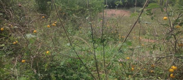 Embu County, Mutuobare Town 2acres Along the Main Tarmac
