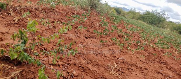 Embu County,Gatete 11 Acres Agricultural Farmland