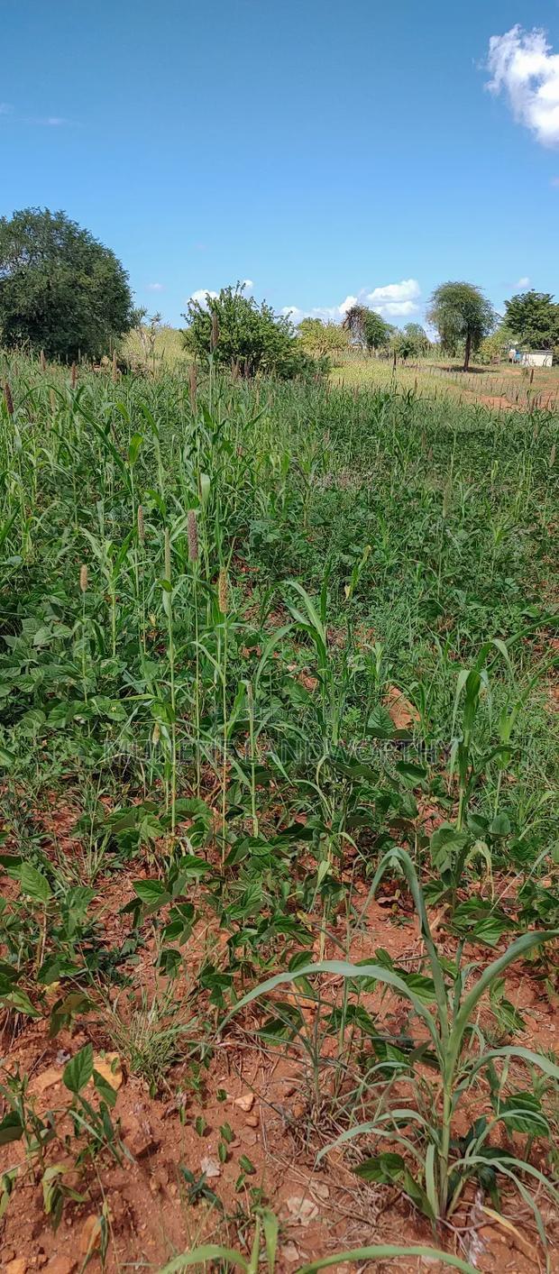 Embu County, Kiambere 10 Agricultural Farmland.