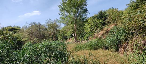 Embu , Mariari 5.8 Acres Agricultural Farmland With River