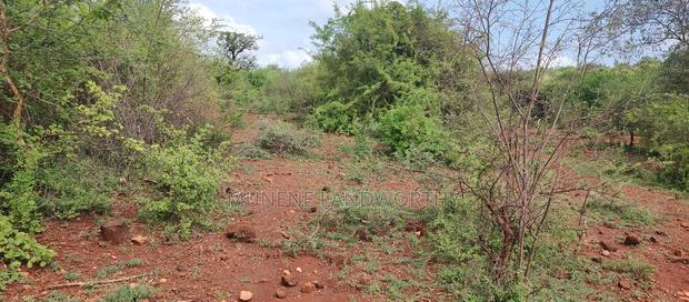 Embu,Mariari Agricultural Land Near the Road